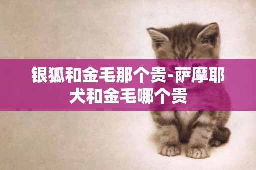 銀狐和金毛那個貴-薩摩耶犬和金毛哪個貴