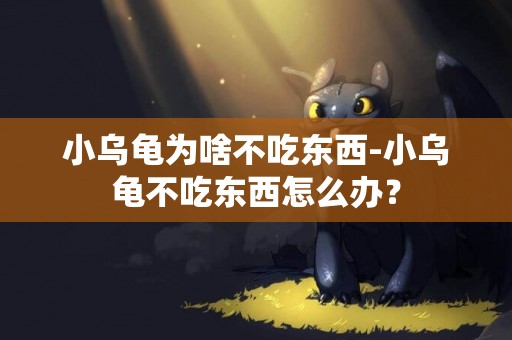 小烏龜為啥不吃東西-小烏龜不吃東西怎么辦？