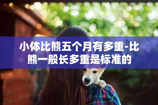 小體比熊五個月有多重-比熊一般長多重是標準的