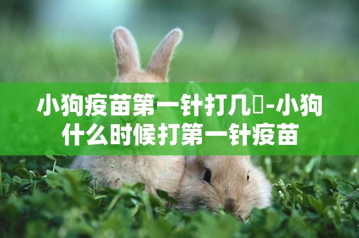 小狗疫苗第一針打幾聯-小狗什么時候打第一針疫苗