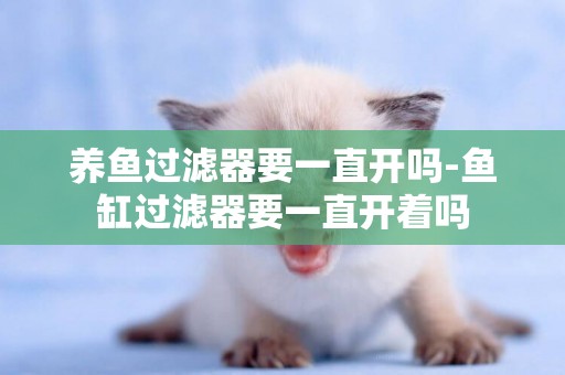 養魚過濾器要一直開嗎-魚缸過濾器要一直開著嗎