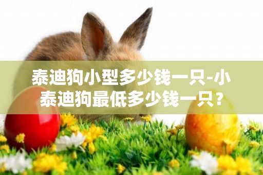 泰迪狗小型多少錢一只-小泰迪狗最低多少錢一只？