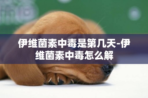 伊維菌素中毒是第幾天-伊維菌素中毒怎么解