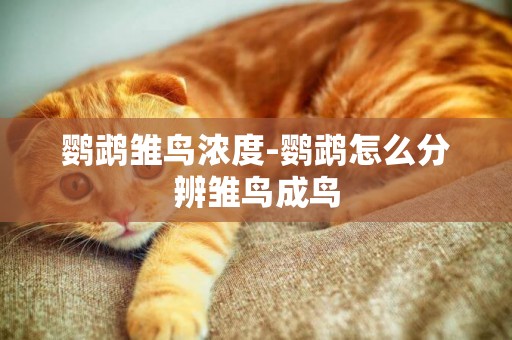 鸚鵡雛鳥濃度-鸚鵡怎么分辨雛鳥成鳥