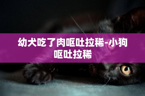 幼犬吃了肉嘔吐拉稀-小狗嘔吐拉稀