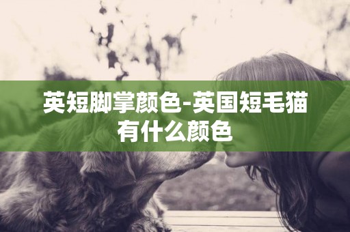 英短腳掌顏色-英國短毛貓有什么顏色