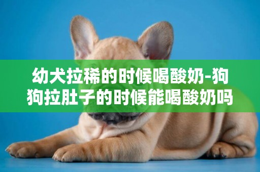 幼犬拉稀的時候喝酸奶-狗狗拉肚子的時候能喝酸奶嗎？
