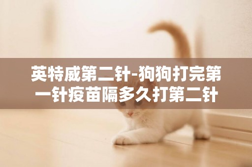 英特威第二針-狗狗打完第一針疫苗隔多久打第二針