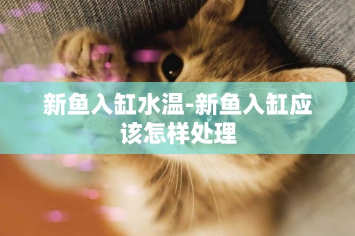 新魚入缸水溫-新魚入缸應該怎樣處理