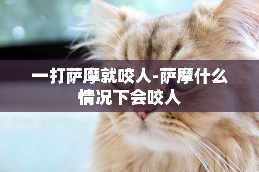 一打薩摩就咬人-薩摩什么情況下會咬人