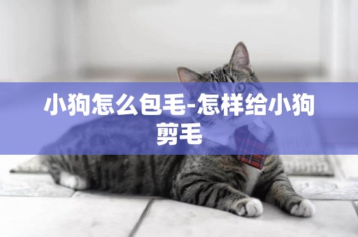 小狗怎么包毛-怎樣給小狗剪毛
