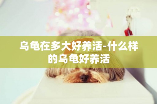 烏龜在多大好養活-什么樣的烏龜好養活