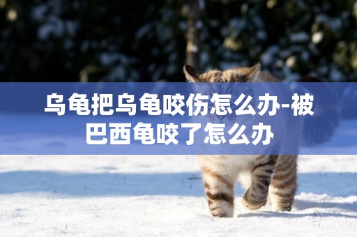 烏龜把烏龜咬傷怎么辦-被巴西龜咬了怎么辦