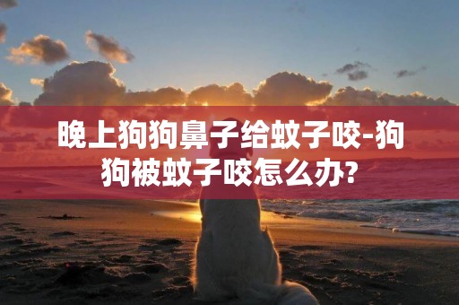 晚上狗狗鼻子給蚊子咬-狗狗被蚊子咬怎么辦?