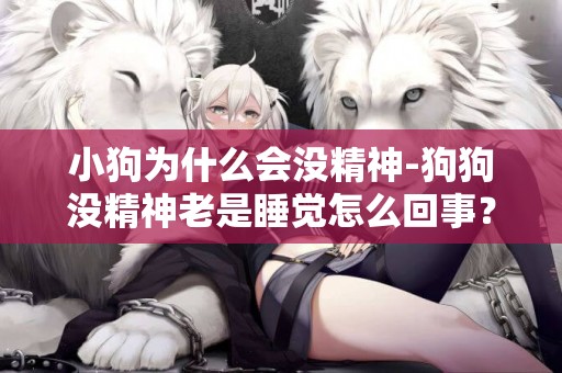 小狗為什么會沒精神-狗狗沒精神老是睡覺怎么回事？