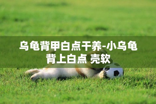 烏龜背甲白點干養-小烏龜背上白點 殼軟