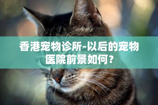 香港寵物診所-以后的寵物醫院前景如何？
