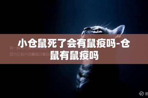 小倉鼠死了會有鼠疫嗎-倉鼠有鼠疫嗎