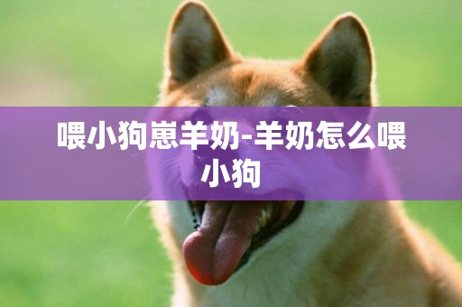 喂小狗崽羊奶-羊奶怎么喂小狗