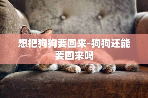 想把狗狗要回來-狗狗還能要回來嗎