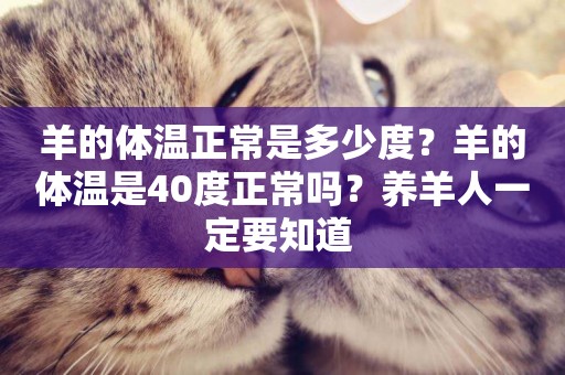 羊的體溫正常是多少度？羊的體溫是40度正常嗎？養羊人一定要知道 