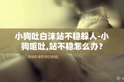 小狗吐白沫站不穩躲人-小狗嘔吐,站不穩怎么辦？
