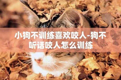 小狗不訓練喜歡咬人-狗不聽話咬人怎么訓練