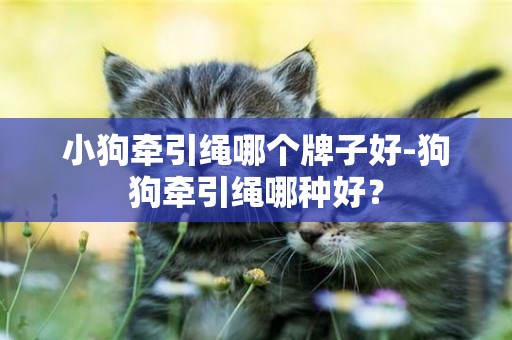 小狗牽引繩哪個牌子好-狗狗牽引繩哪種好？