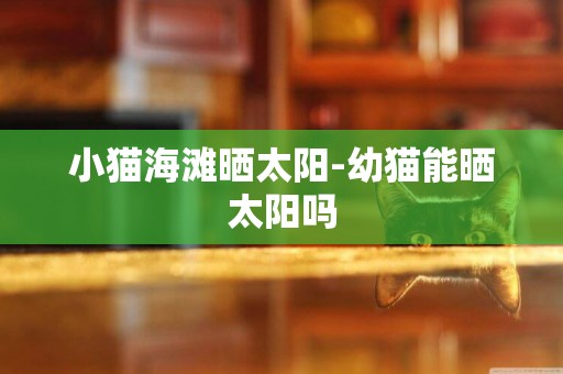 小貓海灘曬太陽-幼貓能曬太陽嗎
