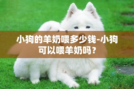 小狗的羊奶喂多少錢-小狗可以喂羊奶嗎？