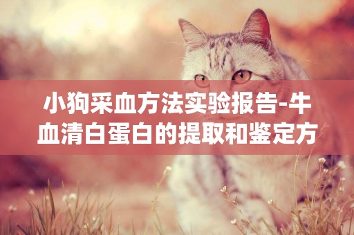 小狗采血方法實驗報告-牛血清白蛋白的提取和鑒定方法(設計性實驗報告)