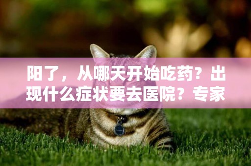 陽了，從哪天開始吃藥？出現什么癥狀要去醫院？專家解讀 