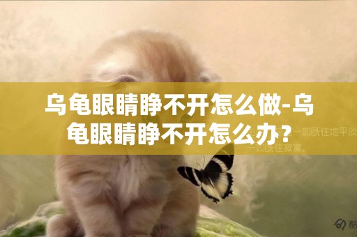 烏龜眼睛睜不開怎么做-烏龜眼睛睜不開怎么辦？