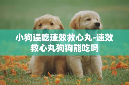 小狗誤吃速效救心丸-速效救心丸狗狗能吃嗎