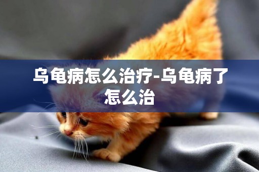 烏龜病怎么治療-烏龜病了怎么治
