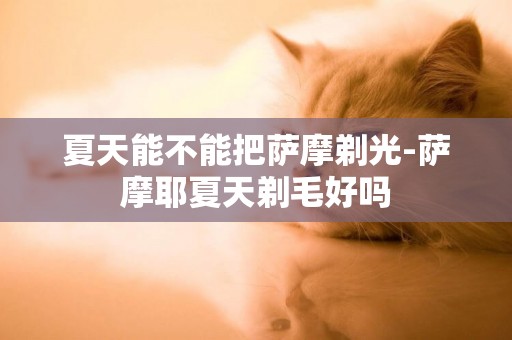 夏天能不能把薩摩剃光-薩摩耶夏天剃毛好嗎
