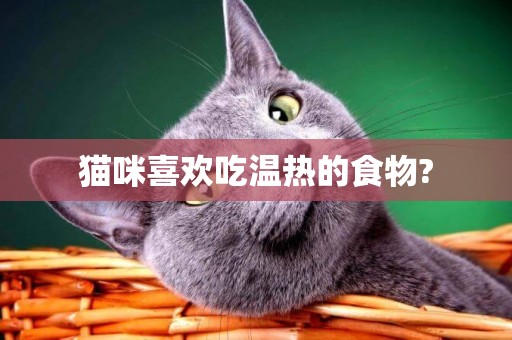貓咪喜歡吃溫熱的食物?
