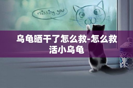 烏龜曬干了怎么救-怎么救活小烏龜