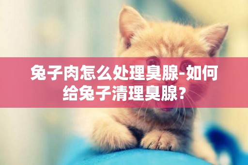 兔子肉怎么處理臭腺-如何給兔子清理臭腺？