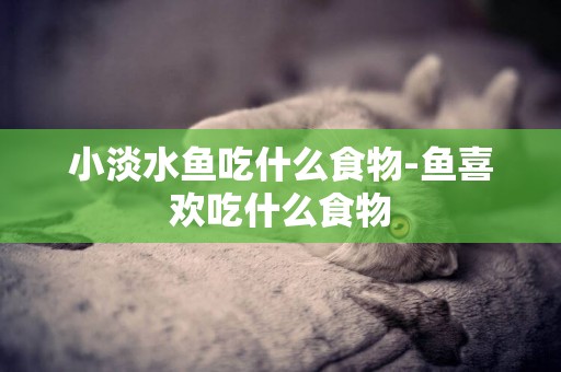 小淡水魚吃什么食物-魚喜歡吃什么食物