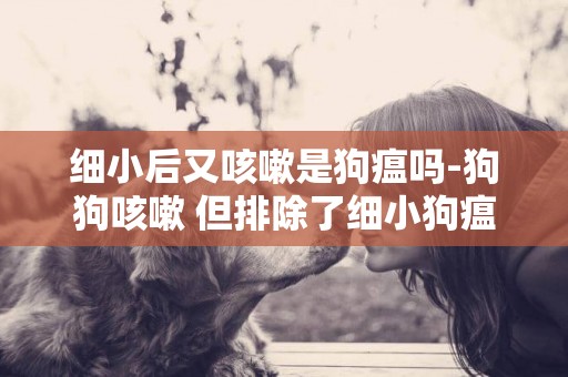 細小后又咳嗽是狗瘟嗎-狗狗咳嗽 但排除了細小狗瘟
