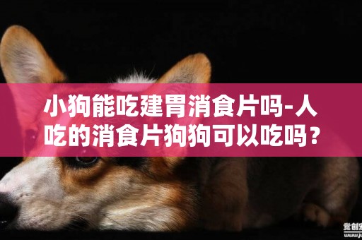 小狗能吃建胃消食片嗎-人吃的消食片狗狗可以吃嗎？