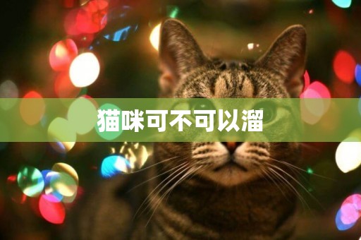 貓咪可不可以溜