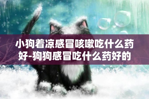 小狗著涼感冒咳嗽吃什么藥好-狗狗感冒吃什么藥好的快？