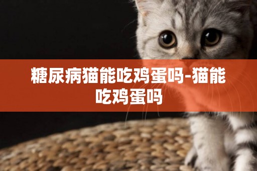 糖尿病貓能吃雞蛋嗎-貓能吃雞蛋嗎