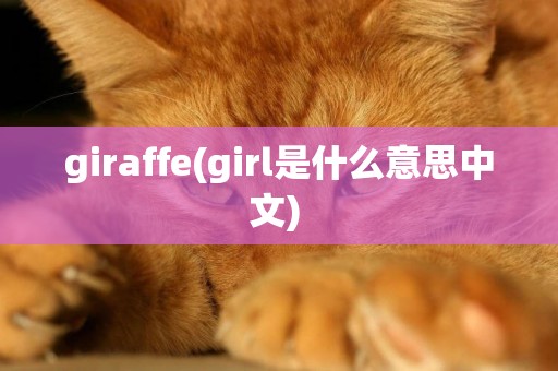 giraffe(girl是什么意思中文) 