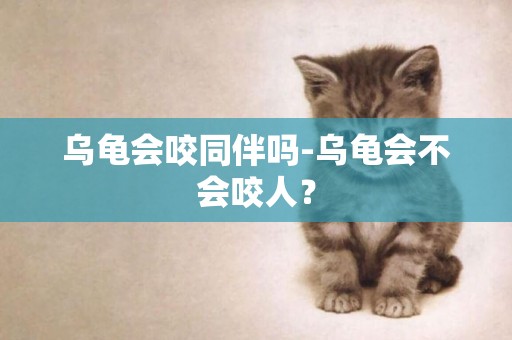烏龜會咬同伴嗎-烏龜會不會咬人？