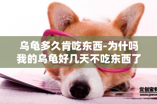 烏龜多久肯吃東西-為什嗎我的烏龜好幾天不吃東西了？