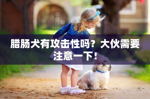 臘腸犬有攻擊性嗎？大伙需要注意一下！