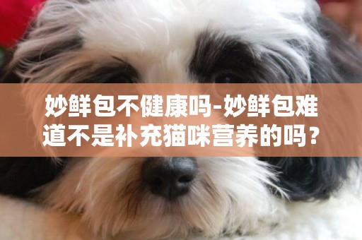 妙鮮包不健康嗎-妙鮮包難道不是補充貓咪營養的嗎？